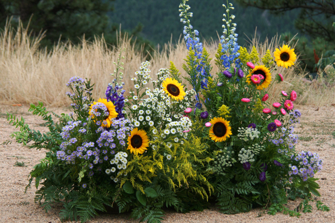 Colorado Meadow